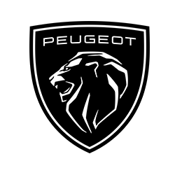 Auto Rallye Peugeot